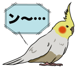 Cockatiel P-chan sticker #10876254