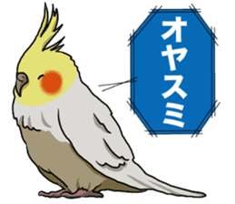 Cockatiel P-chan sticker #10876255