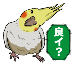 Cockatiel P-chan sticker #10876256