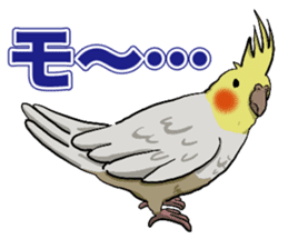 Cockatiel P-chan sticker #10876258