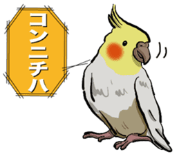 Cockatiel P-chan sticker #10876259