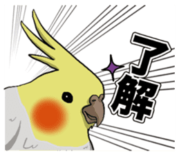 Cockatiel P-chan sticker #10876261