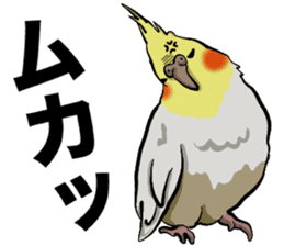 Cockatiel P-chan sticker #10876262