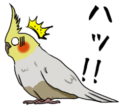 Cockatiel P-chan sticker #10876264