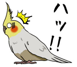 Cockatiel P-chan sticker #10876264