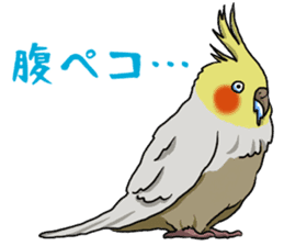 Cockatiel P-chan sticker #10876265
