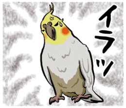 Cockatiel P-chan sticker #10876269