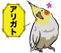 Cockatiel P-chan sticker #10876270