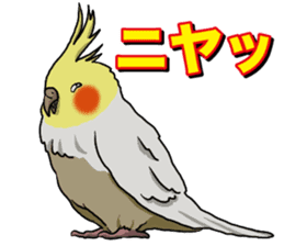 Cockatiel P-chan sticker #10876272