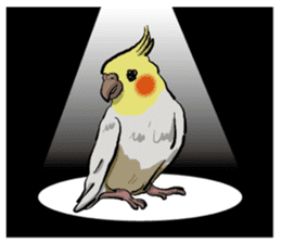 Cockatiel P-chan sticker #10876273