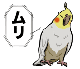 Cockatiel P-chan sticker #10876274