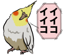 Cockatiel P-chan sticker #10876275