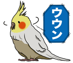 Cockatiel P-chan sticker #10876277