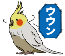 Cockatiel P-chan sticker #10876277
