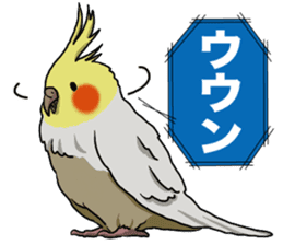 Cockatiel P-chan sticker #10876277