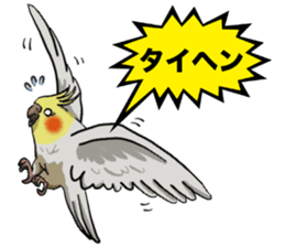 Cockatiel P-chan sticker #10876278