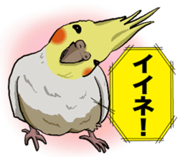 Cockatiel P-chan sticker #10876279