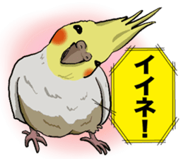 Cockatiel P-chan sticker #10876279