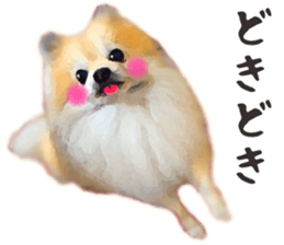 Pomeranian Junco real 2 sticker #9745519