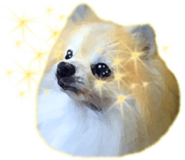 Pomeranian Junco real 2 sticker #9745524