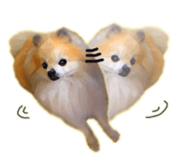 Pomeranian Junco real 2 sticker #9745526