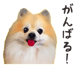 Pomeranian Junco real 2 sticker #9745528