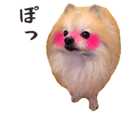 Pomeranian Junco real 2 sticker #9745535