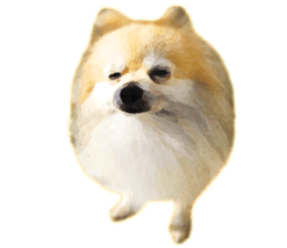 Pomeranian Junco real 2 sticker #9745538