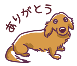 I Love Dachshund (Pop) sticker #9746273