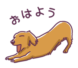 I Love Dachshund (Pop) sticker #9746292