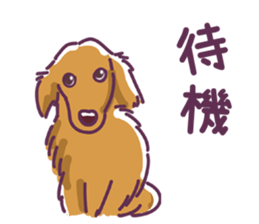 I Love Dachshund (Pop) sticker #9746295