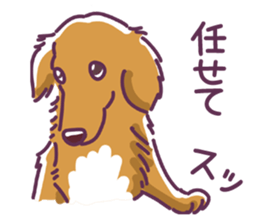 I Love Dachshund (Pop) sticker #9746309