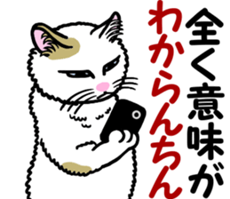 I am a cat.Thank you.6! sticker #9746915