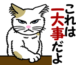 I am a cat.Thank you.6! sticker #9746934