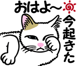 I am a cat.Thank you.6! sticker #9746948