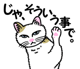 I am a cat.Thank you.6! sticker #9746951