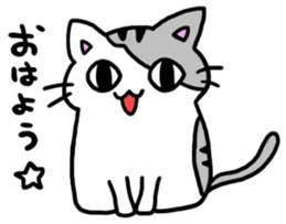 with altemis sticker #9754416