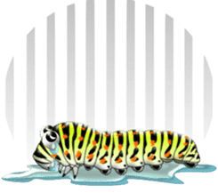 Old World Swallowtail sticker #9755461