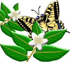 Old World Swallowtail sticker #9755480