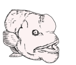 Unpleasant fish2 sticker #9755937