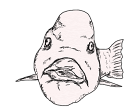Unpleasant fish2 sticker #9755940
