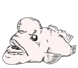 Unpleasant fish2 sticker #9755948