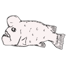 Unpleasant fish2 sticker #9755951