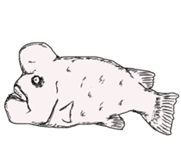 Unpleasant fish2 sticker #9755951