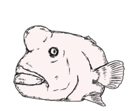 Unpleasant fish2 sticker #9755953
