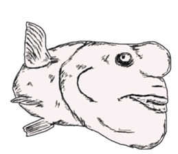 Unpleasant fish2 sticker #9755955