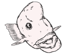 Unpleasant fish2 sticker #9755958