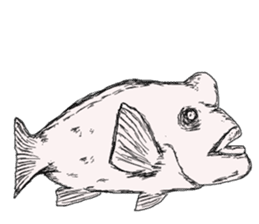 Unpleasant fish2 sticker #9755962