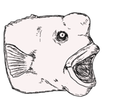 Unpleasant fish2 sticker #9755964