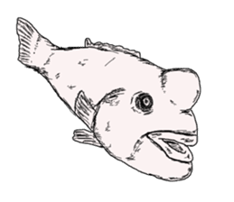 Unpleasant fish2 sticker #9755966